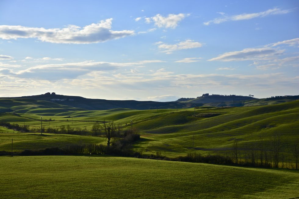 stadebianche