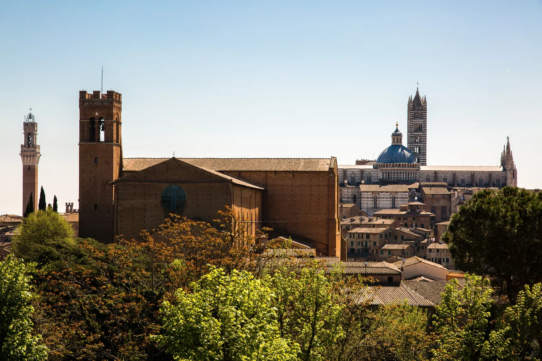 siena